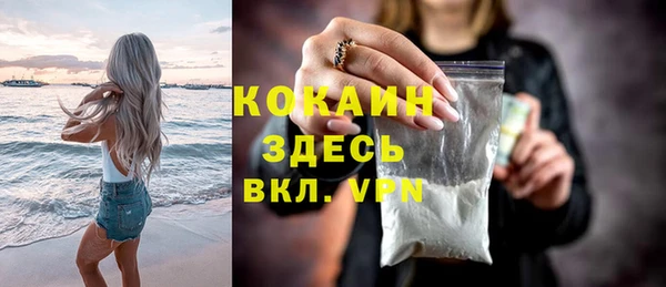 шишки Медвежьегорск