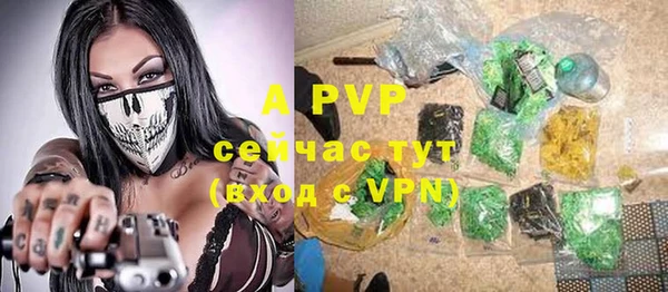 прущие крисы Михайлов