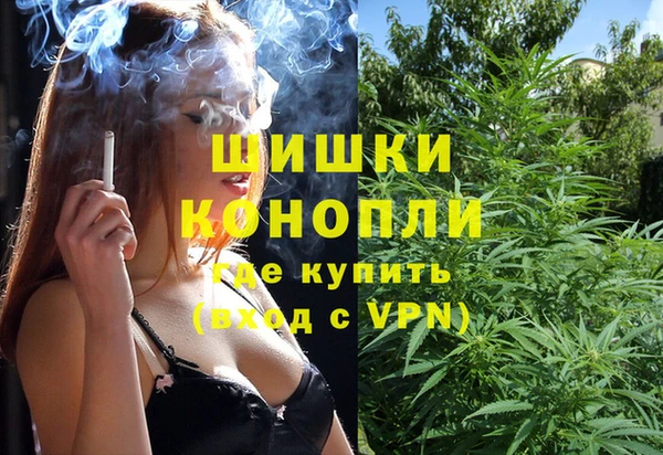 мдпв Михайловск