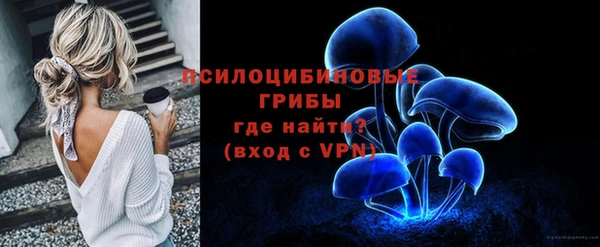 мдпв Михайловск